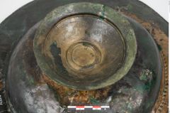 Foto von Bronzebreitrandfußschale (NHMW-PRAE-025521)